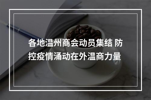 各地温州商会动员集结 防控疫情涌动在外温商力量