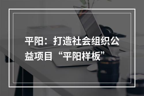 平阳：打造社会组织公益项目“平阳样板”