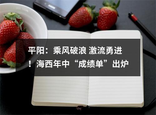 平阳：乘风破浪 激流勇进！海西年中“成绩单”出炉