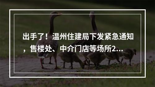 出手了！温州住建局下发紧急通知，售楼处、中介门店等场所2月9日前一律暂停营业
