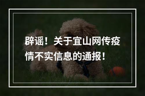 辟谣！关于宜山网传疫情不实信息的通报！