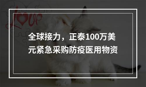 全球接力，正泰100万美元紧急采购防疫医用物资