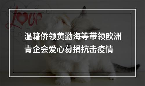 温籍侨领黄勤海等带领欧洲青企会爱心募捐抗击疫情