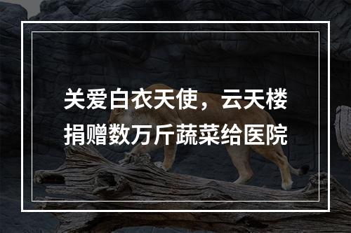 关爱白衣天使，云天楼捐赠数万斤蔬菜给医院