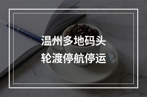 温州多地码头轮渡停航停运