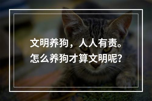 文明养狗，人人有责。怎么养狗才算文明呢？
