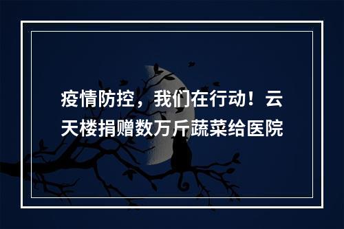 疫情防控，我们在行动！云天楼捐赠数万斤蔬菜给医院