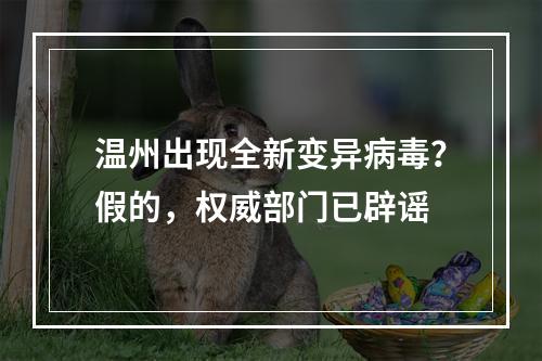 温州出现全新变异病毒？假的，权威部门已辟谣