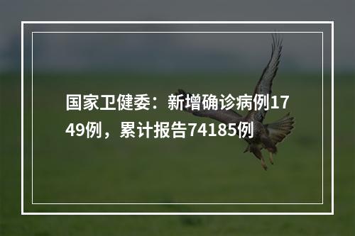 国家卫健委：新增确诊病例1749例，累计报告74185例