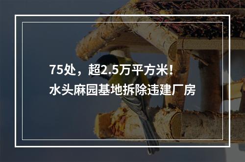 75处，超2.5万平方米！水头麻园基地拆除违建厂房
