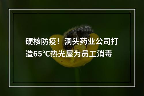 硬核防疫！洞头药业公司打造65℃热光屋为员工消毒