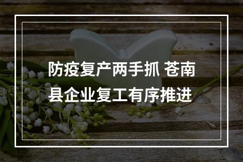 防疫复产两手抓 苍南县企业复工有序推进