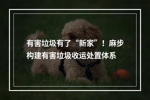 有害垃圾有了“新家”！麻步构建有害垃圾收运处置体系