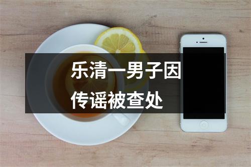 乐清一男子因传谣被查处