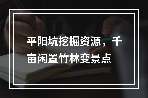 平阳坑挖掘资源，千亩闲置竹林变景点