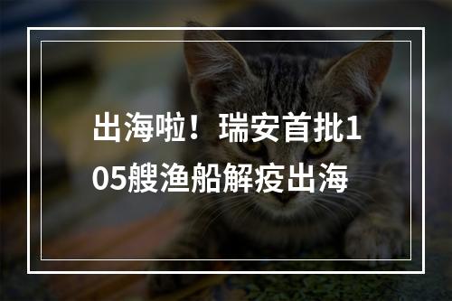 出海啦！瑞安首批105艘渔船解疫出海