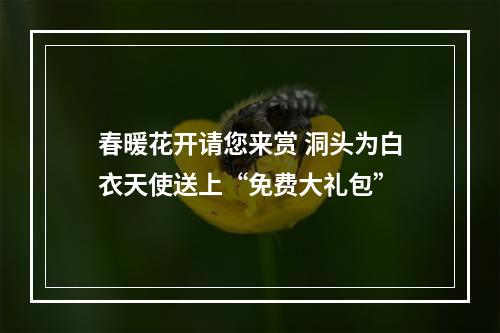 春暖花开请您来赏 洞头为白衣天使送上“免费大礼包”