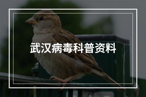 武汉病毒科普资料
