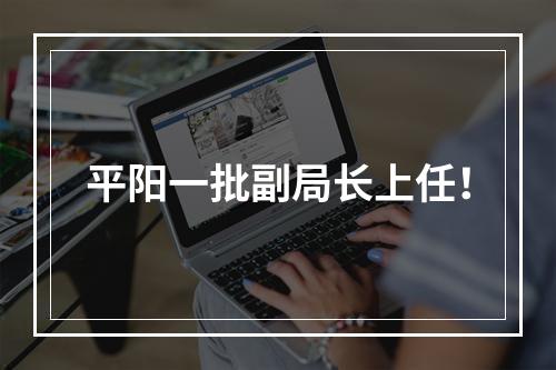 平阳一批副局长上任！