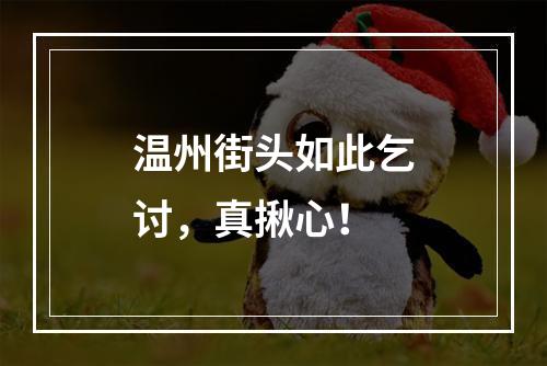 温州街头如此乞讨，真揪心！