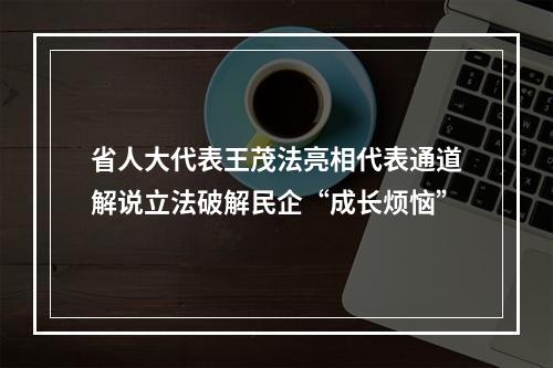 省人大代表王茂法亮相代表通道解说立法破解民企“成长烦恼”