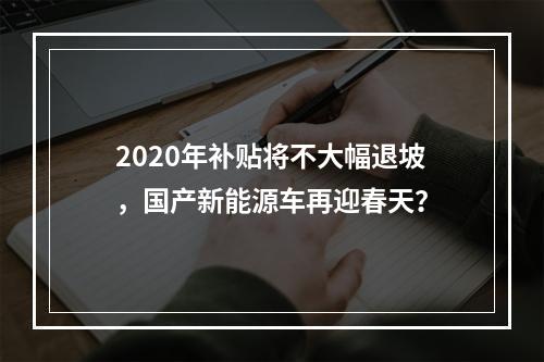 2020年补贴将不大幅退坡，国产新能源车再迎春天？