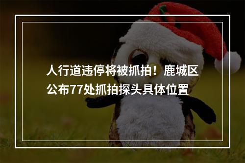 人行道违停将被抓拍！鹿城区公布77处抓拍探头具体位置