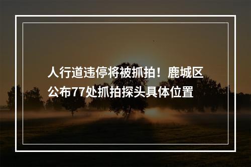 人行道违停将被抓拍！鹿城区公布77处抓拍探头具体位置