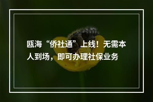 瓯海“侨社通”上线！无需本人到场，即可办理社保业务