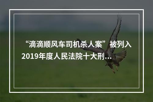 “滴滴顺风车司机杀人案”被列入2019年度人民法院十大刑事案件