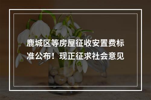 鹿城区等房屋征收安置费标准公布！现正征求社会意见