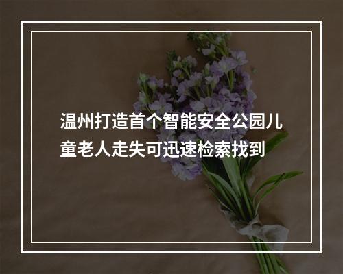 温州打造首个智能安全公园儿童老人走失可迅速检索找到
