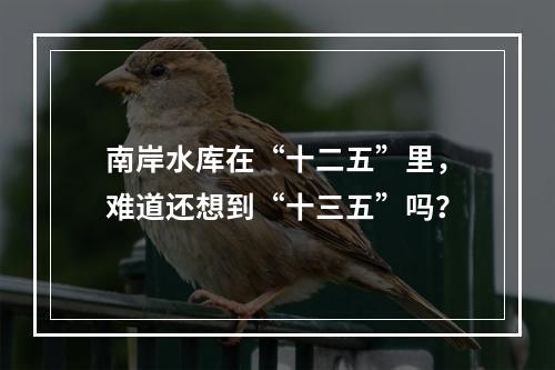 南岸水库在“十二五”里，难道还想到“十三五”吗？