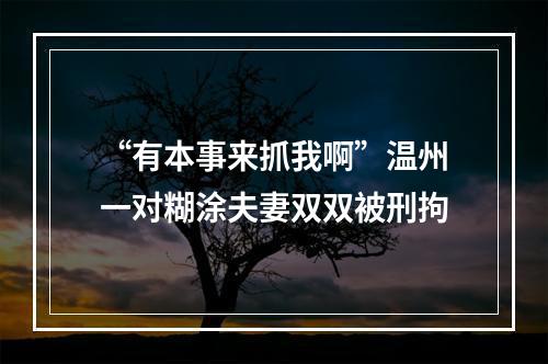 “有本事来抓我啊”温州一对糊涂夫妻双双被刑拘