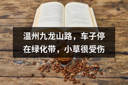 温州九龙山路，车子停在绿化带，小草很受伤
