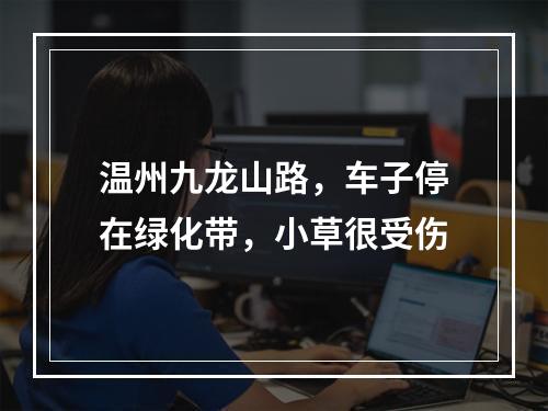 温州九龙山路，车子停在绿化带，小草很受伤
