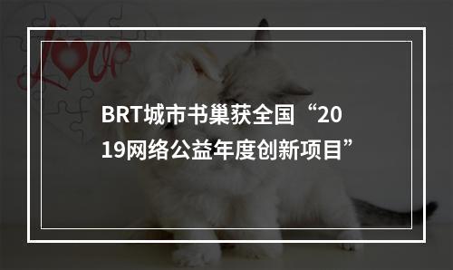 BRT城市书巢获全国“2019网络公益年度创新项目”