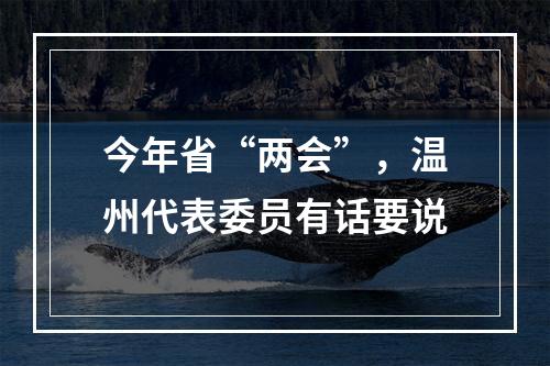 今年省“两会”，温州代表委员有话要说