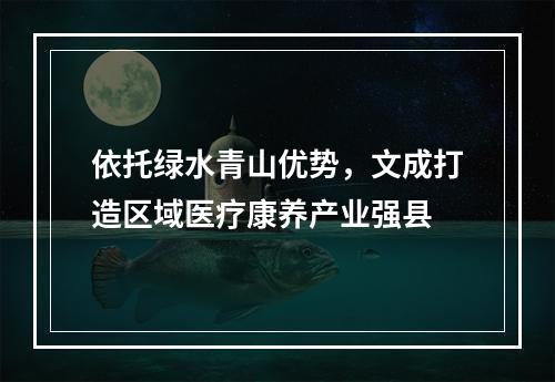 依托绿水青山优势，文成打造区域医疗康养产业强县