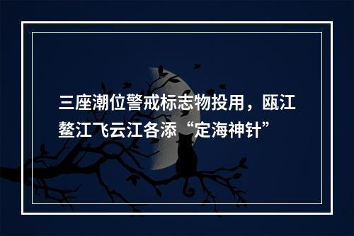 三座潮位警戒标志物投用，瓯江鳌江飞云江各添“定海神针”