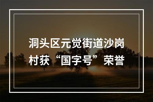 洞头区元觉街道沙岗村获“国字号”荣誉