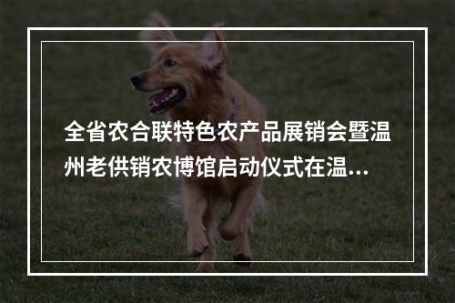 全省农合联特色农产品展销会暨温州老供销农博馆启动仪式在温州市杨府山公园举行