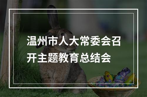 温州市人大常委会召开主题教育总结会