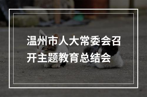 温州市人大常委会召开主题教育总结会