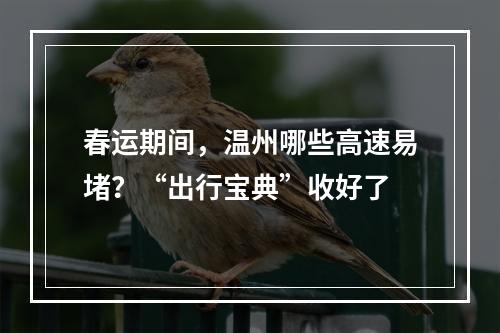 春运期间，温州哪些高速易堵？“出行宝典”收好了