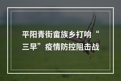 平阳青街畲族乡打响“三早”疫情防控阻击战