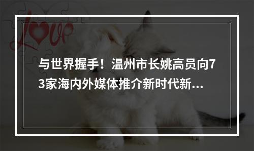 与世界握手！温州市长姚高员向73家海内外媒体推介新时代新温州