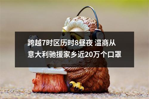 跨越7时区历时8昼夜 温商从意大利驰援家乡近20万个口罩