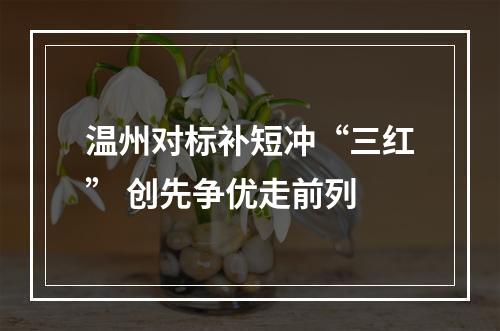 温州对标补短冲“三红” 创先争优走前列