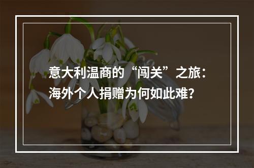 意大利温商的“闯关”之旅：海外个人捐赠为何如此难？